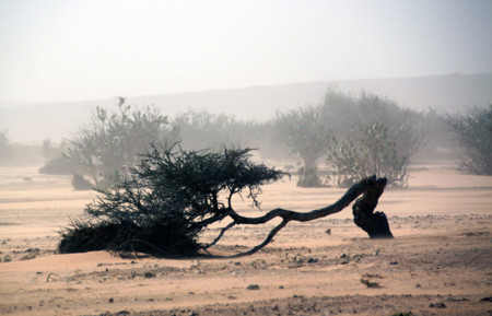 Tormenta arena Desierto En Toyota 4x4