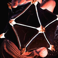 Qué ocurre si tratamos de darles el artefacto a los githyanki en Baldur's Gate 3 