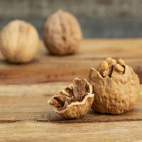 Sabíamos que desayunar nueces y otros frutos secos era positivo para nuestro cerebro. Lo que no sabíamos era hasta qué punto