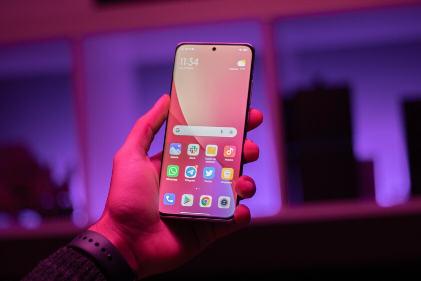According to a popular leak, a new member of the Xiaomi 12 family is on the way