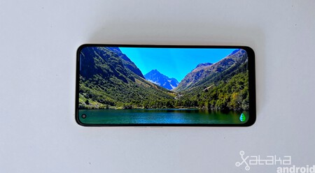Pantalla Vista Realme 9 4g