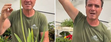 Ángel Illescas, experto en jardinería: “Esta planta es resistente a la sequía y a los duros inviernos” 