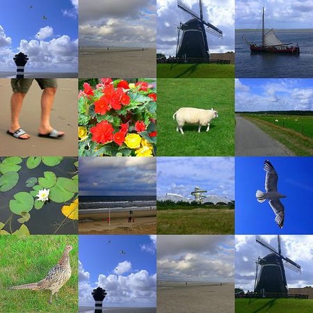Cómo crear un collage con tus fotos de viaje