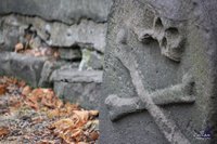 Productos y servicios nacidos para morir