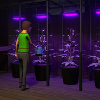 Estas son las mejores mezclas de Hierba en Schedule 1 clasificadas por tipos