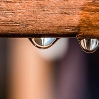 Científicos logran crear lentes con gotas de agua, sus propiedades permiten ajustar el enfoque en tiempo real