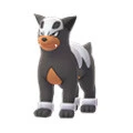 Houndour