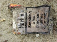 ¿Fumaste durante el embarazo?: pues tu bisnieto tendrá más probabilidades de ser asmático