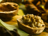 Alternativas al pescado para tomar Omega-3