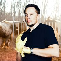 Elon Musk vuelve a dar por muerta la conducción manual y de coches de combustión: "será como montar a caballo"