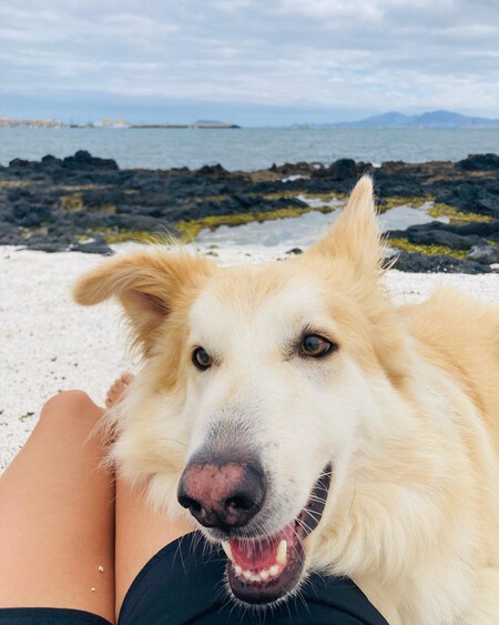 Nostalgia Anticipada