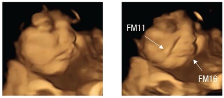 gestos-bebe-alimentos