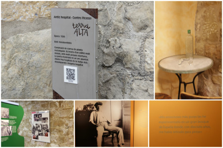 Picasso Horta San Juan