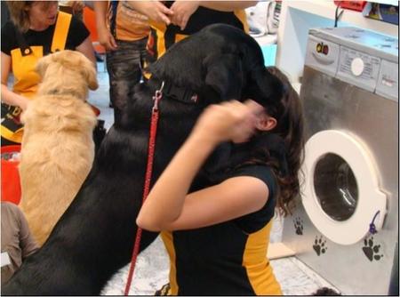 Programa pionero de asistencia con perros a menores en los juzgados de la Comunidad de Madrid