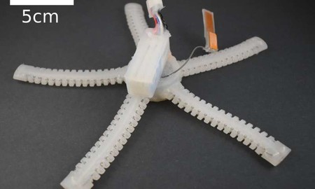 La estrella de mar inspira un robot blando autónomo subacuático