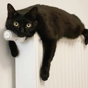 Andrey Volk Cdffu0i9 Be Unsplash