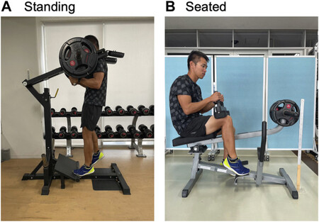 Fphys 14 1272106 G002