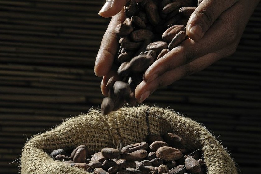 Amantes de chocolate negro: tenemos la lista definitiva con las mejores marcas según su porcentaje de cacao