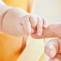 ¿Será diestro o zurdo? Según un estudio podría determinarse a las ocho semanas de gestación