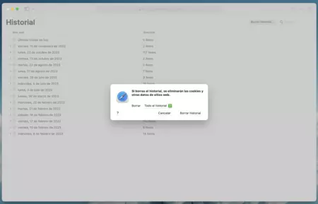 borrar memoria cache safari ipad Limpiar el historial también ayuda