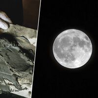 Unos científicos enviaron cemento lunar "de Erasmus" a la Estación Espacial Internacional. Medio año después, volvió más fuerte que el vinagre