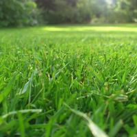 5 ofertas de primavera en bricolaje y jardín disponibles en Amazon hasta medianoche