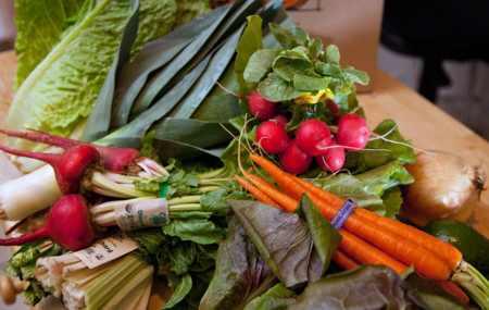 Los vegetales, el mejor aliado para perder peso y mantenernos
