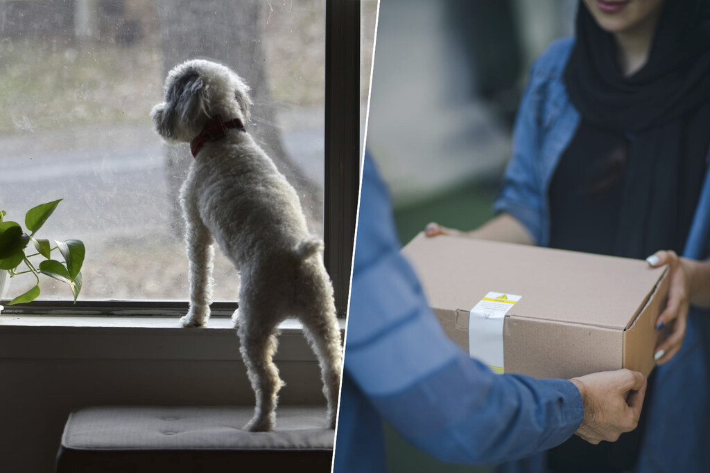 Que esperes un paquete y el repartidor diga que no estás en casa es demasiado normal. La OCU le ha puesto números: un 46%