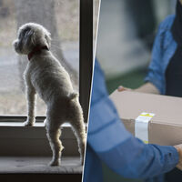 Que esperes un paquete y el repartidor diga que no estás en casa es demasiado normal. La OCU le ha puesto números: un 46% 