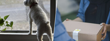 Que esperes un paquete y el repartidor diga que no estás en casa es demasiado normal. La OCU le ha puesto números: un 46% 