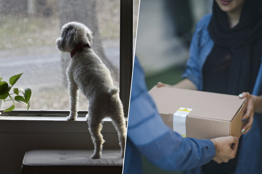 Que esperes un paquete y el repartidor diga que no estás en casa es demasiado normal. La OCU le ha puesto números: un 46%