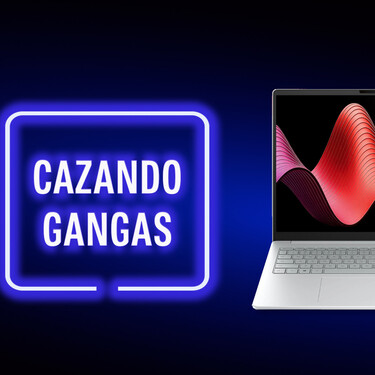 Cazando Gangas