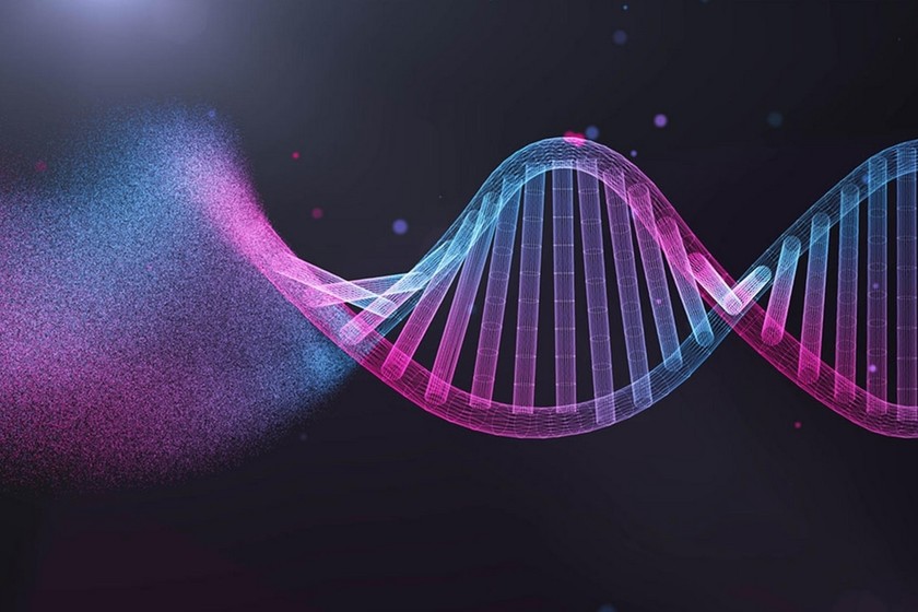 Genes chivatos: el ADN que donaste en un sitio que te informa de tu genealogía se usa para investigaciones criminales en EE.UU.