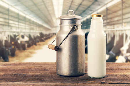 Seis alimentos aptos para veganos con más calcio que la leche