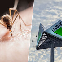 Leroy Merlin tiene el invento definitivo para acabar con los mosquitos: esta lámpara solar barata para terraza, balcón o jardín