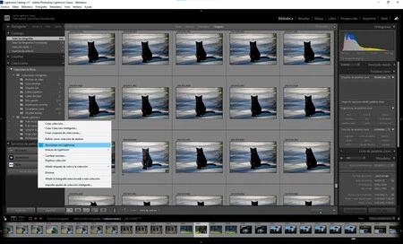 Catalogo Lightroom