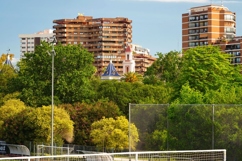 No basta con llenar las ciudades de árboles para frenar el calor: la ciencia ya sabe cuáles enfrían más y cómo debemos colocarlos 