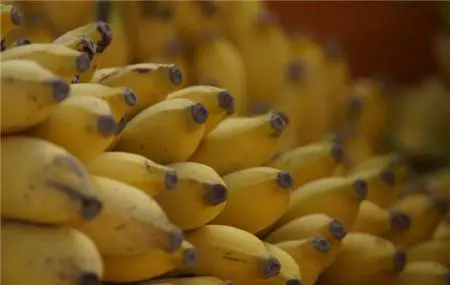 Estos plátanos supervitaminados pueden salvar millones de vidas en África