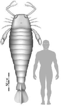 Un escorpión Prehistórico, más alto que una persona