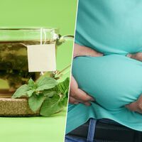 Siempre se ha pensado que el té verde era bueno para perder grasa. Ahora sabemos por qué