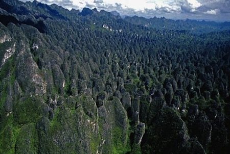 mangkalihat024.jpg