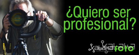 ¿Quiero ser profesional?