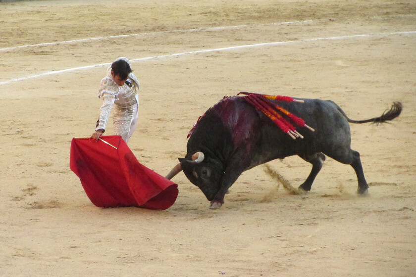 Si la pregunta es cómo frenar la sangría de la España vaciada, en Cantabria lo tienen claro: subvencionando fiestas con toros
