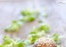Dieta ovolactovegetariana ventajas y desventajas