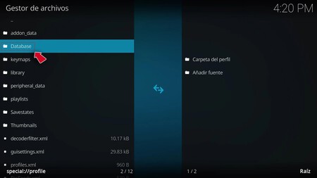 Kodi 11