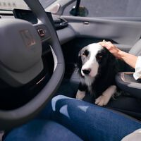 Clima perfecto, aire limpio y seguridad: dejar a tu mascota en el carro ya no será un problema gracias a esta función del SUV eléctrico Zeekr X 