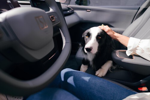 Zeekr X Modo Mascota 3