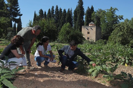 La Alhambra Abre Gratis Las Las Huertas Del Generalife