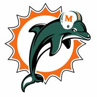 El vicepresidente de Xiaomi se hace con el 1% del equipo NFL de los Miami Dolphin, su estadio y el circuito de F1 de Miami. Pero el trato aún no es definitivo