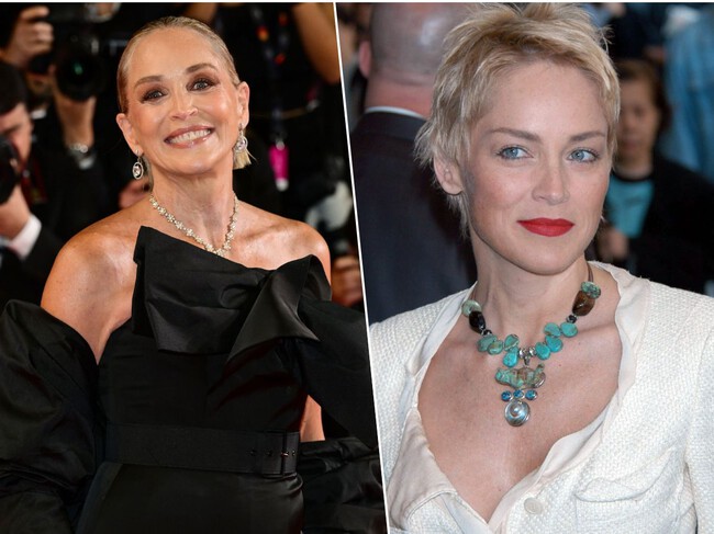 Sharon Stone Evolucion Anos